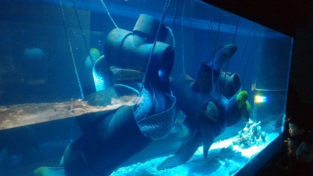 P_20180202_105826.jpg