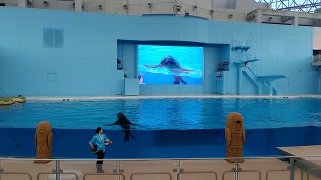 P_20190123_100146.jpg