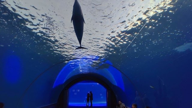 P_20190123_161223.jpg