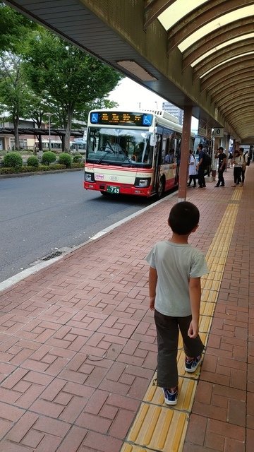 2019(夏)母子倆全日本瘋狂遊(11)因颱風滯留福井但還是