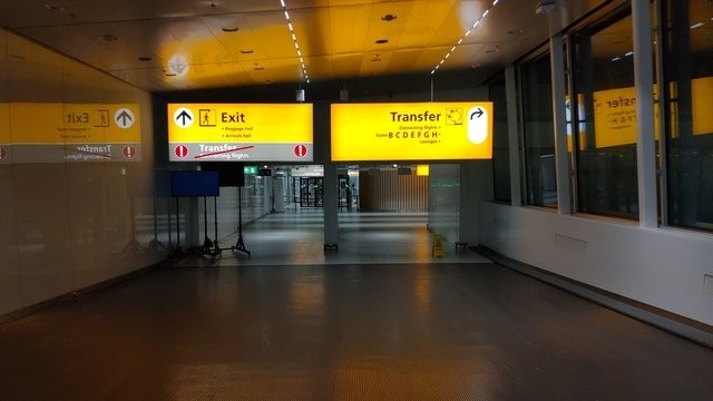 1223848589.jpg