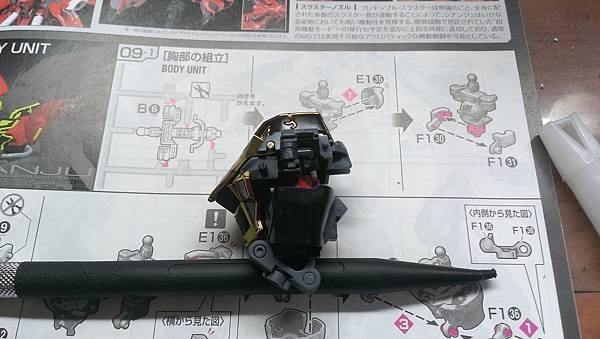 IMAG1308.jpg
