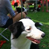 IMG_7959
