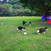 IMG_8033