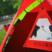 IMG_7965