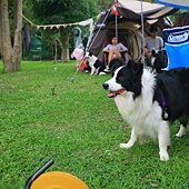 IMG_8018