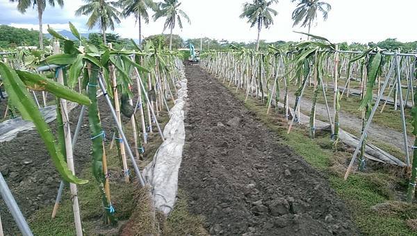 IMAG1411.jpg