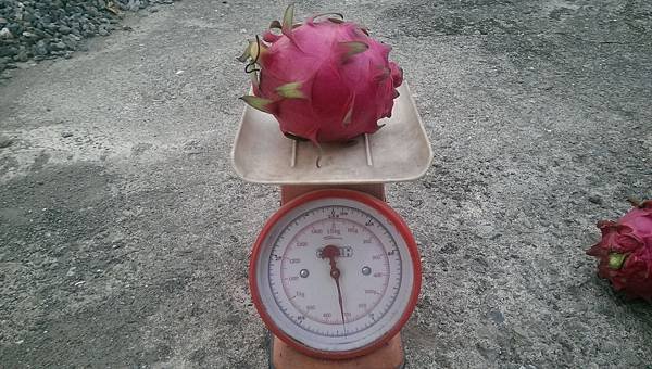 IMAG1646.jpg