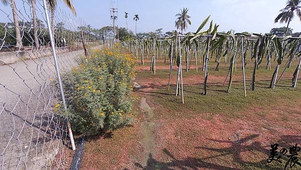 100_0091.JPG