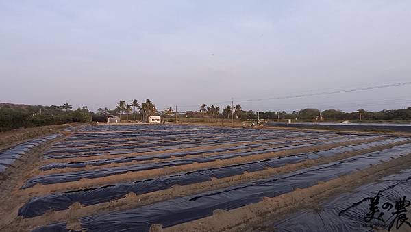 100_0187.JPG