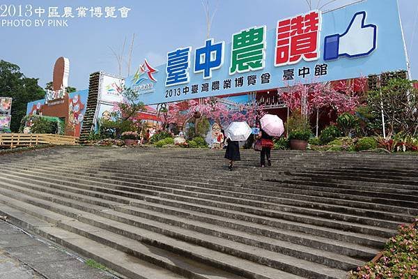SAM_0060