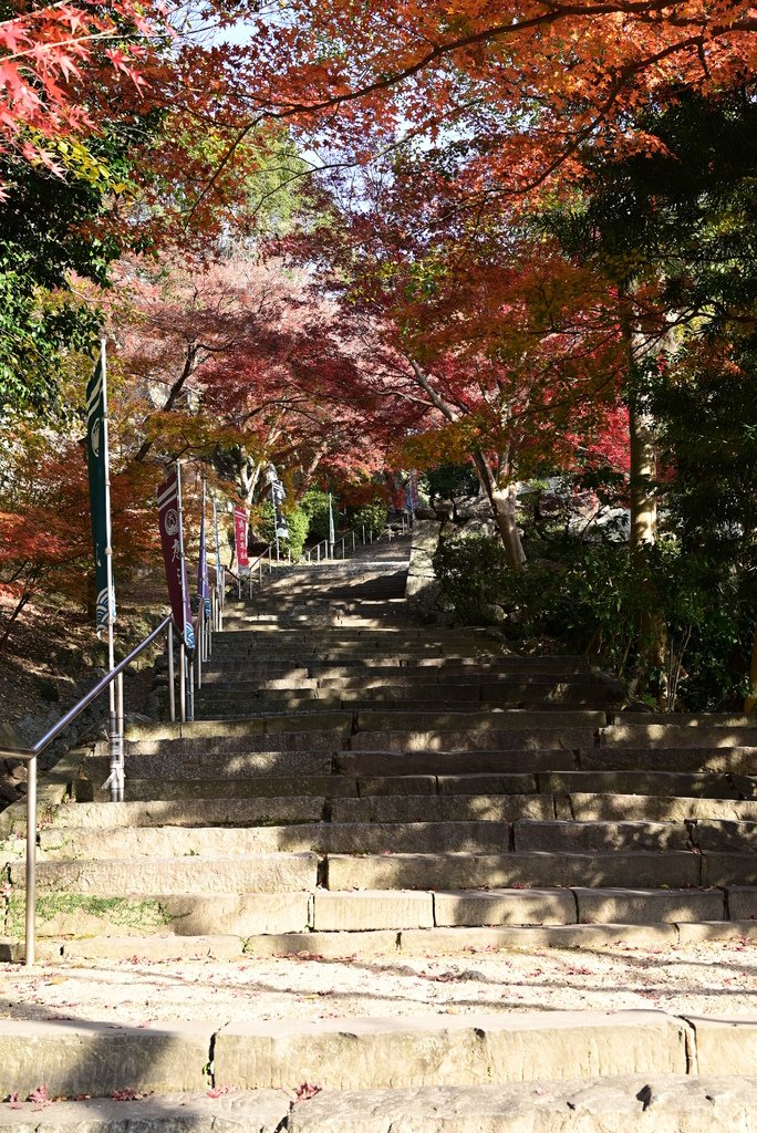 2023年12月福岡四日旅