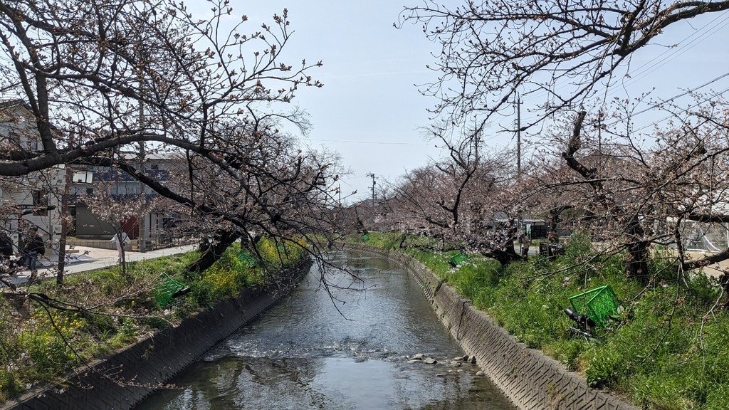 202403名古屋賞櫻買香之旅