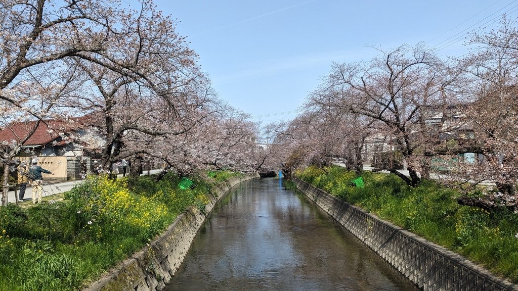 202403名古屋賞櫻買香之旅