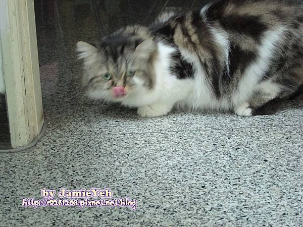 IMG_1878(001).jpg