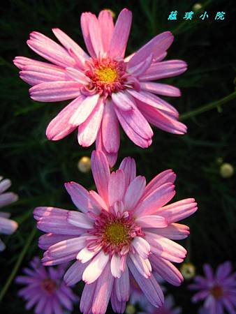 IMG_5862.jpg