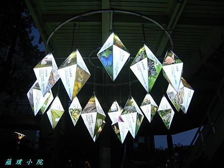 IMG_2476.JPG
