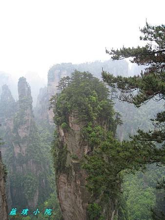 IMG_5850.JPG