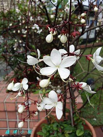 20160116_123700.jpg