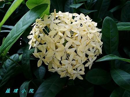 20160722_105546.jpg