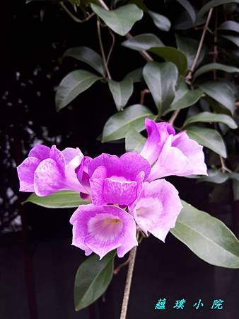 20170707_084327.jpg