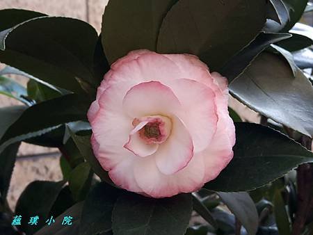 20180328_153738.jpg