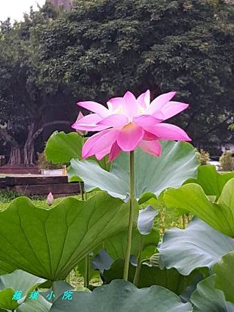 20180613_083117.jpg