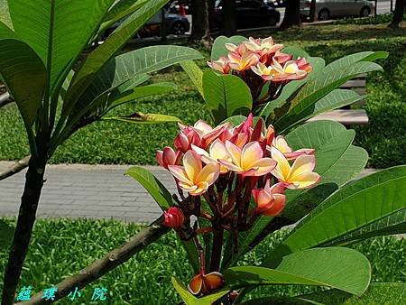 20190629_104906.jpg