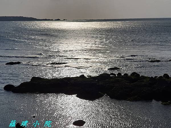 20230510_164841.jpg