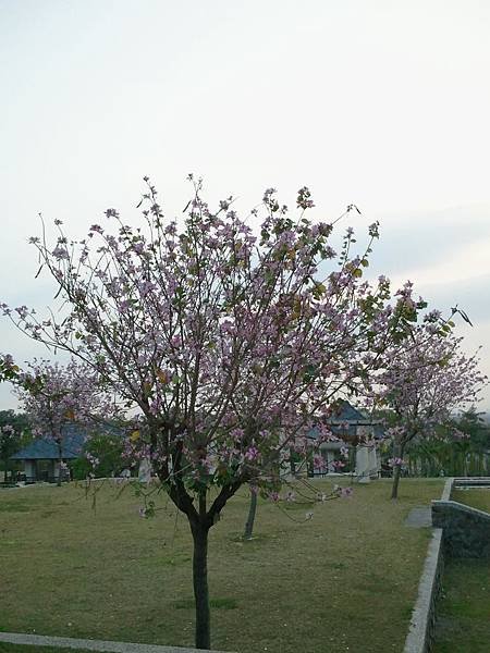 相片0290.jpg
