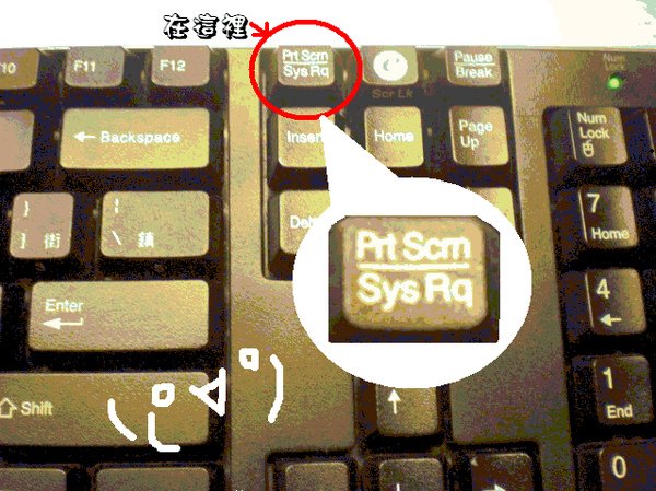 6.bmp