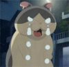 494.gif