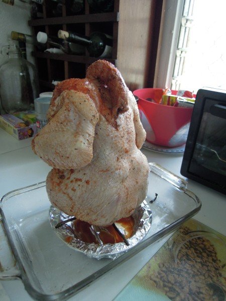 4-oven chicken (1)