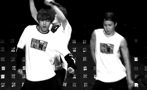 tumblr_np1eifauXY1qjqy8to1_500.gif