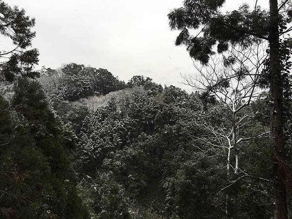 IMG_9705.JPG