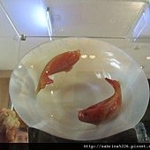 IMG_0100