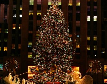 ny tree-2.jpg