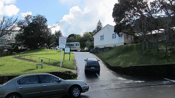 IMG_2917.jpg