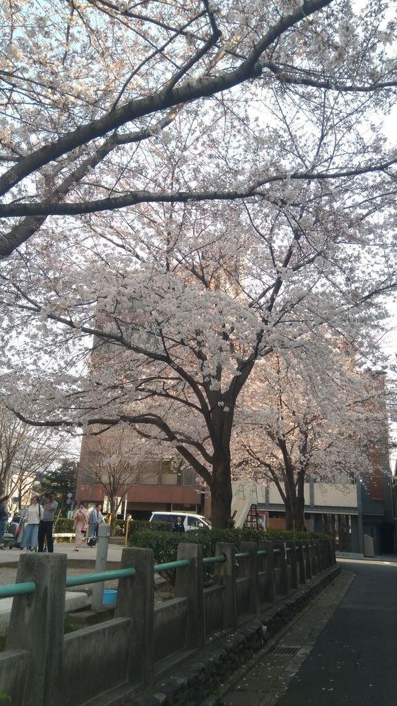 京都姐妹D1：天氣好好啊~！！！_170618_0066.jpg