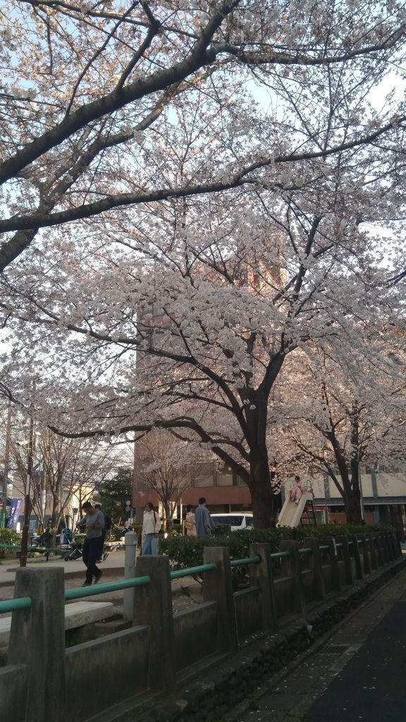 京都姐妹D1：天氣好好啊~！！！_170618_0070.jpg