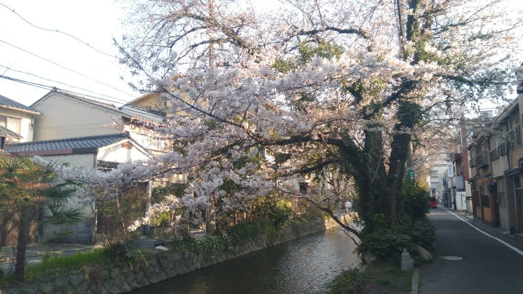 京都姐妹D1：天氣好好啊~！！！_170618_0074.jpg