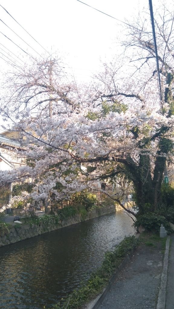 京都姐妹D1：天氣好好啊~！！！_170618_0078.jpg