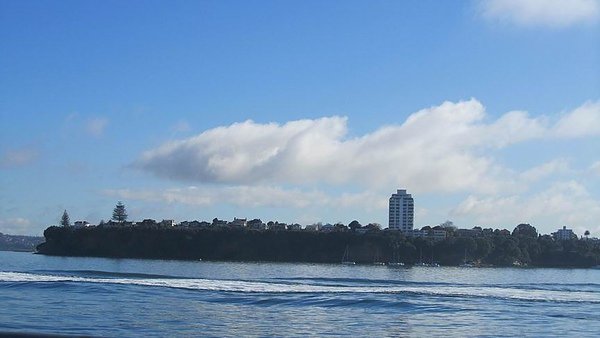 IMG_2869.jpg