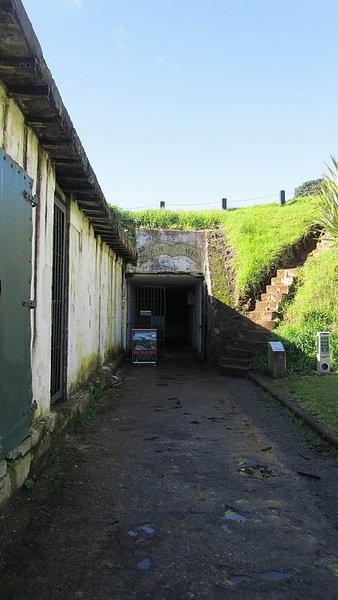 IMG_2995.jpg