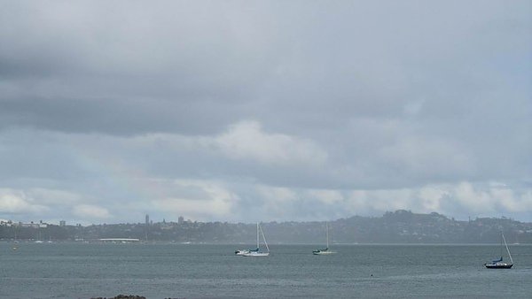 IMG_3056.jpg