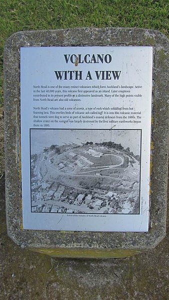 IMG_3027.jpg