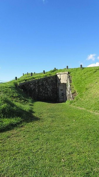 IMG_2994.jpg