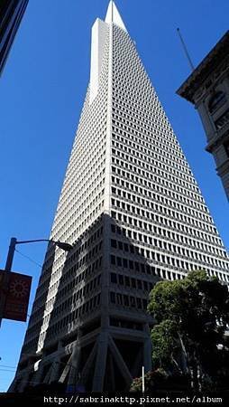 381114_493094867382533_795085065_n