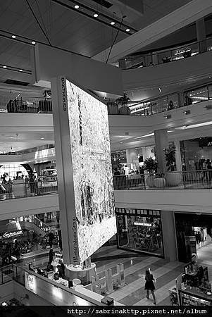 IMG_0008