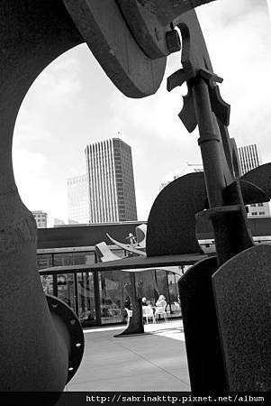 IMG_0181